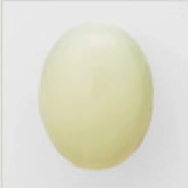淡黄緑